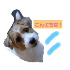 [LINEスタンプ] 元気なてっちや❤️