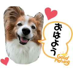 [LINEスタンプ] 愛犬リンといちとお友達のゆるゆるスタンプ