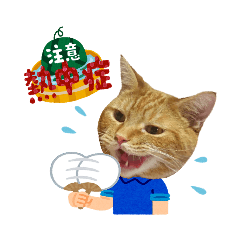 [LINEスタンプ] いぬとも＆ねことも☆うちの⑤にゃんこ④