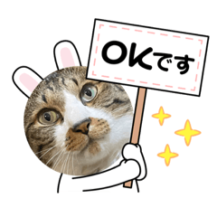 [LINEスタンプ] ねこちゃんスタンプ4