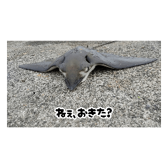 [LINEスタンプ] へはエイ