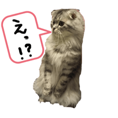 [LINEスタンプ] りかぽスタンプ