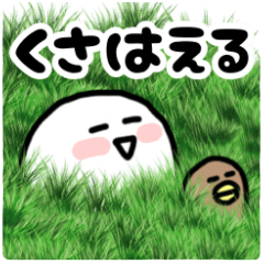 [LINEスタンプ] もふっち★ぱっと返信！便利なスタンプ