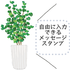 [LINEスタンプ] 観葉植物メッセージスタンプ