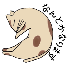 [LINEスタンプ] ギザギザ耳の猫