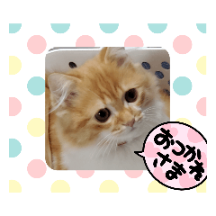 [LINEスタンプ] むぎ＆がんちゃん仲良し兄弟 2