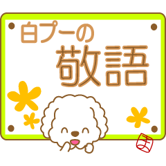 [LINEスタンプ] まみんこの白プードルスタンプ(敬語)