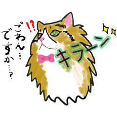 [LINEスタンプ] 猫っぽさと、人間っぽさと、心強さと