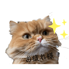 [LINEスタンプ] モップとミルク4