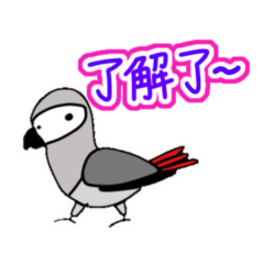 [LINEスタンプ] ぴよぴよヨウム(台湾語版)