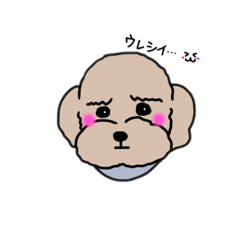 [LINEスタンプ] 困り顔プードル