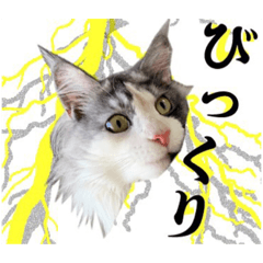 [LINEスタンプ] あおいちゃん②