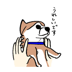 [LINEスタンプ] チワコーギーのマロン