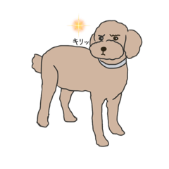 [LINEスタンプ] 困り顔プードル(poodle)2