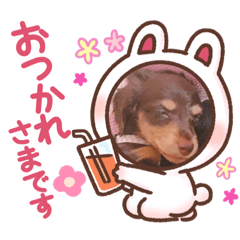 [LINEスタンプ] ダックス 犬 日常