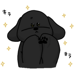 [LINEスタンプ] ブラックプードル1-2