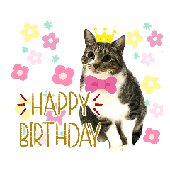 [LINEスタンプ] 猫さんLove