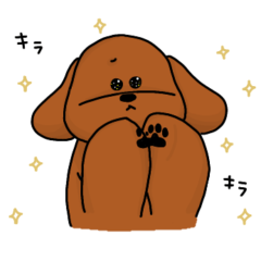 [LINEスタンプ] レッドプードル(薄)1-2