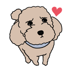 [LINEスタンプ] 困り顔プードル(poodle)