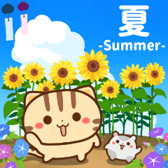 [LINEスタンプ] 夏だ！ネコちゃん ハムちゃんの画像（メイン）