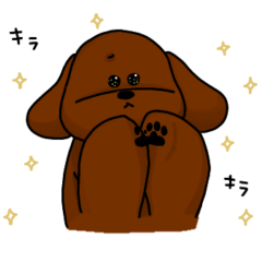 [LINEスタンプ] レッドプードル1-2