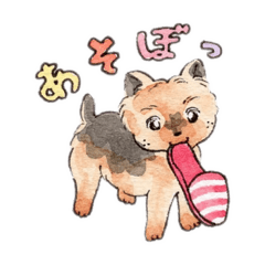 [LINEスタンプ] ヨーキー♡ティンちゃんの日常スタンプ