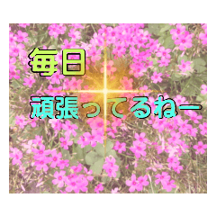 [LINEスタンプ] 頑張ってるねー