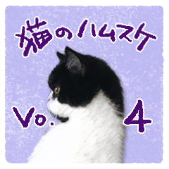 [LINEスタンプ] 猫のハムスケ__Vo.4