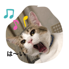 [LINEスタンプ] momocyan3