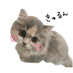 [LINEスタンプ] うにだよ