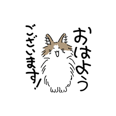 [LINEスタンプ] ねこのノル道ジャンさん