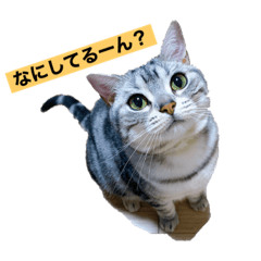 [LINEスタンプ] じんじゃあ