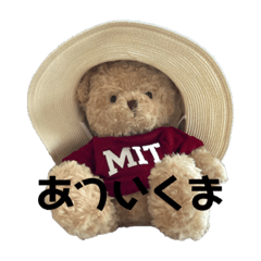 [LINEスタンプ] くまくまくんのスタンプ