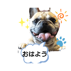 [LINEスタンプ] フレブル ジャックの言葉