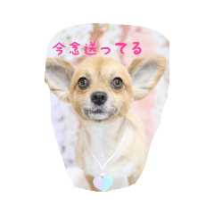 [LINEスタンプ] ルーカス8888