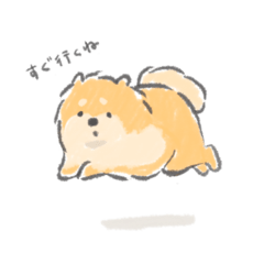 [LINEスタンプ] 控えめにわがままも言わせて柴犬