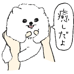 [LINEスタンプ] 白ポメラニアンちゃん