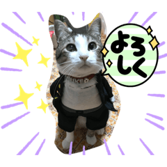 [LINEスタンプ] サスケくん挨拶