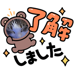 [LINEスタンプ] サスケの日々