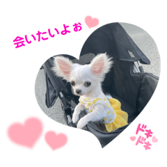 [LINEスタンプ] しじみの日常③