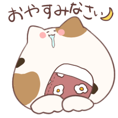 [LINEスタンプ] 敬語が使えるねこちゃん