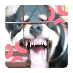 [LINEスタンプ] たいがん