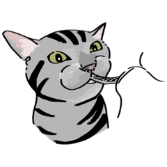 [LINEスタンプ] あっちもこっちもそっちもどっちも猫だらけ