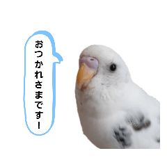 [LINEスタンプ] らぶりぃ クゥちゃん7