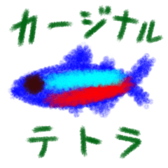 [LINEスタンプ] 熱帯魚•カージナルテトラのスタンプ