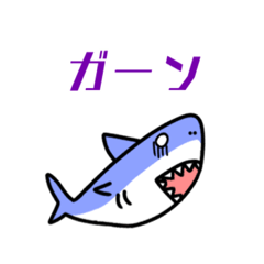 [LINEスタンプ] サメ 日常会話