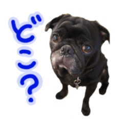 [LINEスタンプ] はるおの日常2