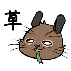 [LINEスタンプ] 癖が強いアンデスのねずみデグーさん