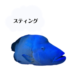 [LINEスタンプ] かわちいナポフィ