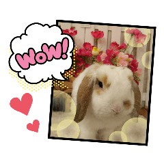 [LINEスタンプ] うさりおスタンプ5